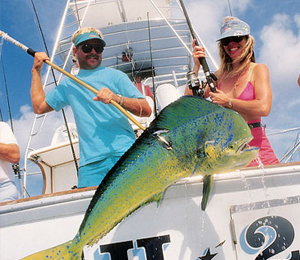 Key West Fishing 04-13-16